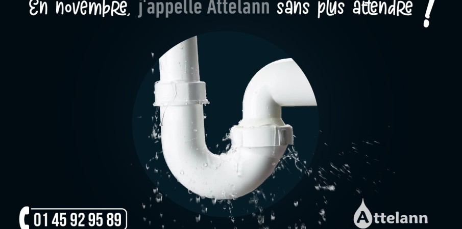 En novembre j'appelle Attelann sans plus attendre !