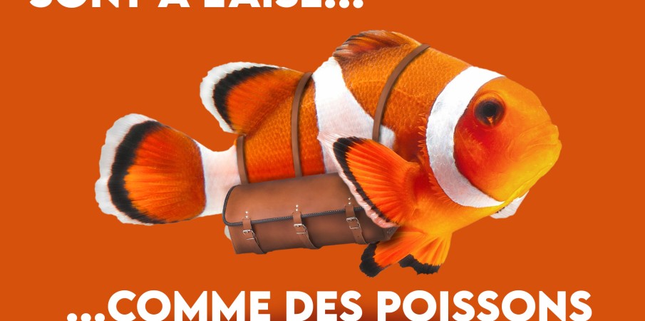 Nos plombiers sont à l'aise ... comme des poissons dans l'eau