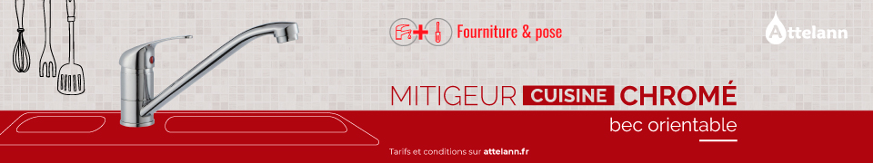 Mitigeur cuisine orientable - 210€