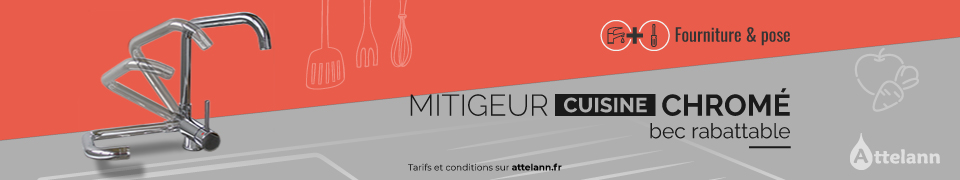 Mitigeur cuisine rabatable - 230€