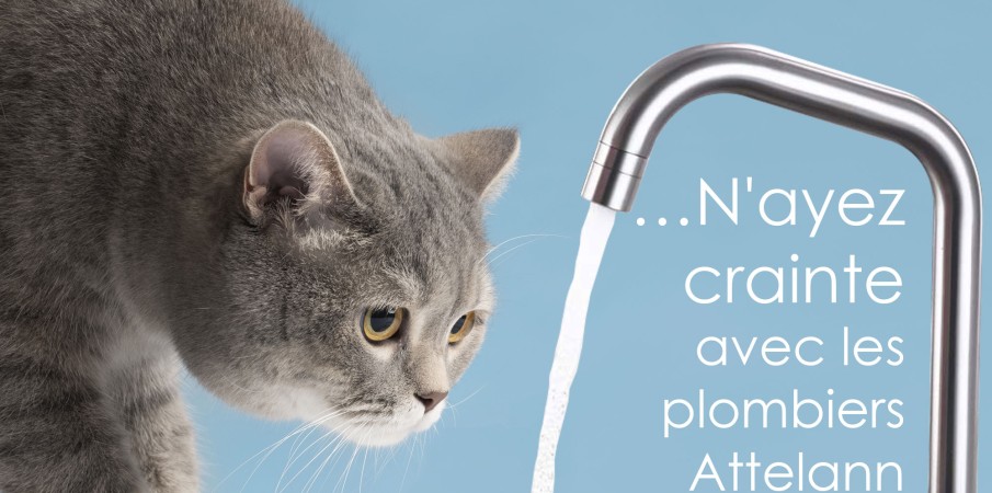 Chat échaudé craint l'eau froide...n'ayez crainte avec les plombiers Attelann