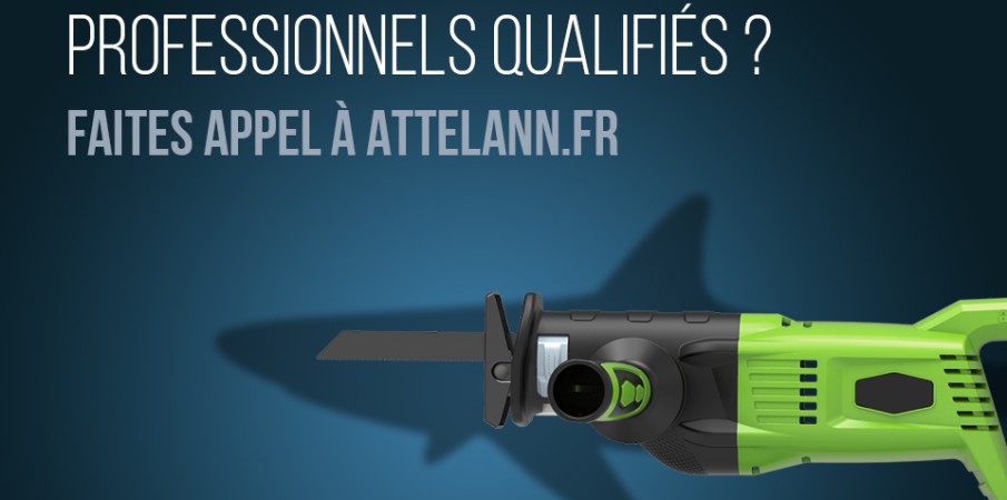 Vous cherchez des professionnels qualifiés ? Faites appel à Attelann.fr