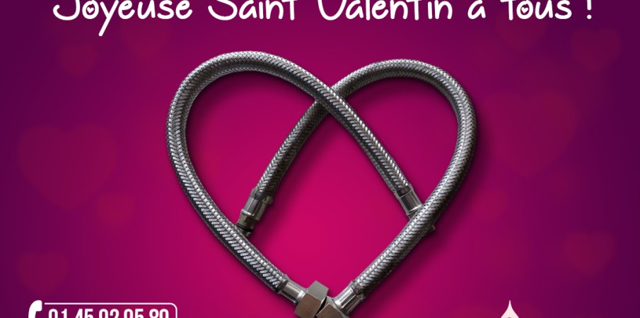 Joyeuse Saint Valentin à tous !